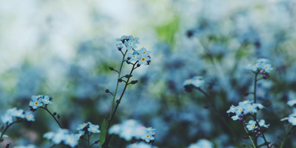 Simple Aftercare Ideas for Funeral Homes That Make a Difference
