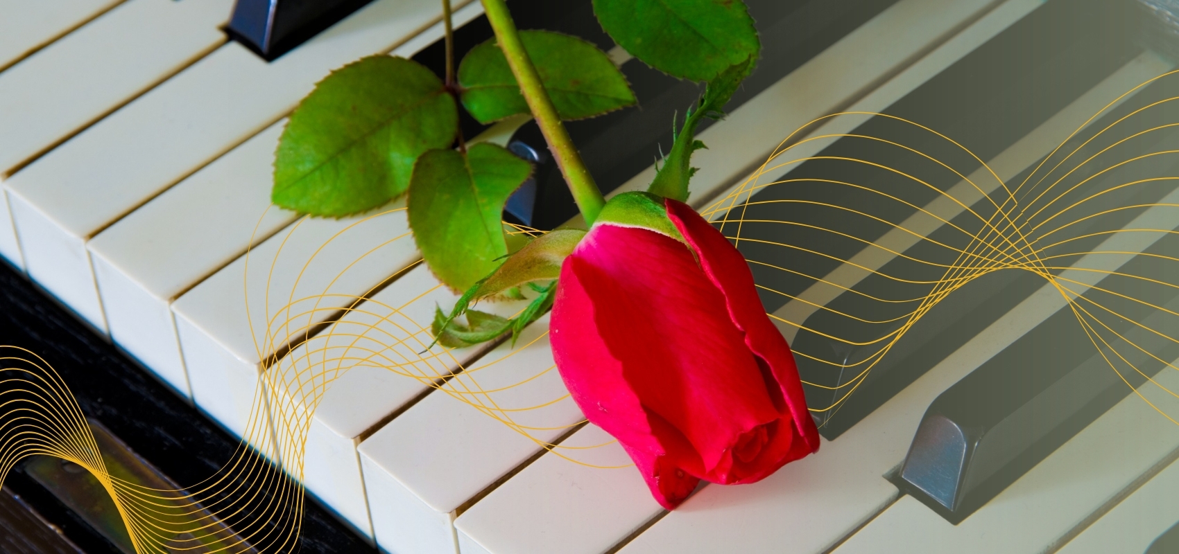 Crafting the perfect funeral playlist. Image